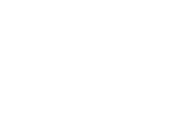 Metalicon 